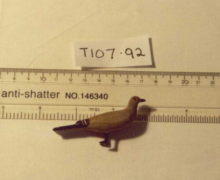 Noah's Ark bird
