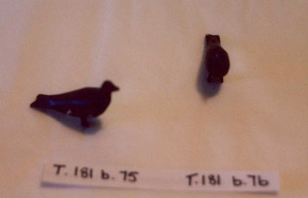 Noah's Ark bird