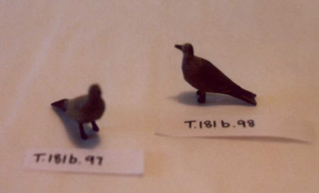 Noah's Ark bird