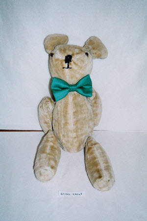 Teddy bear