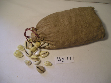 Cowrie shell