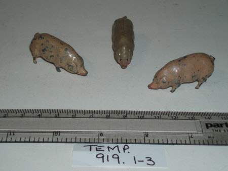 Pig