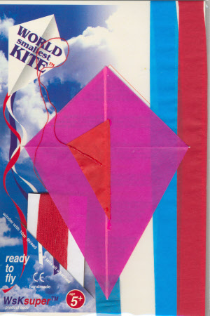 Kite