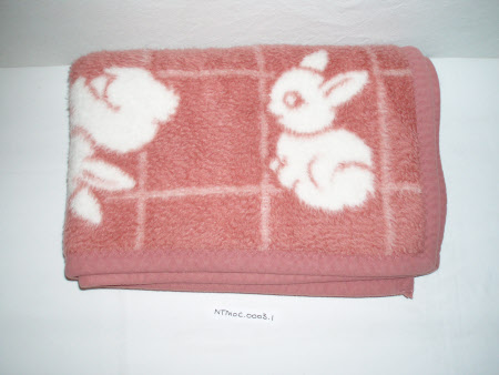 National Trust Museum of Childhood © National Trust