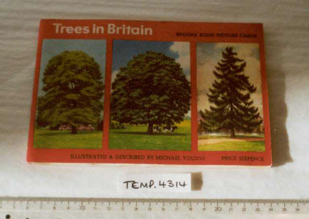 Trees in Britain