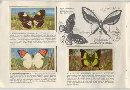 National Museum of Childhood © National Trust
