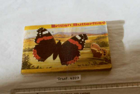 British Butterflies