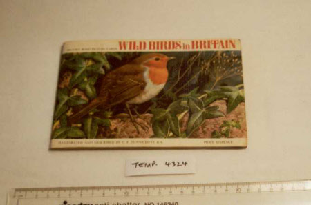 Wild Birds in Britain