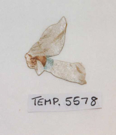 Advertising ephemera