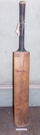 Cricket bat