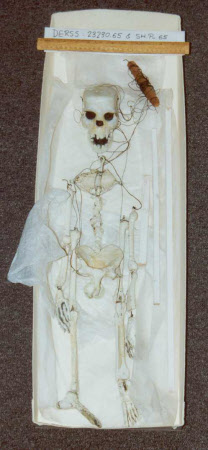 Marionette