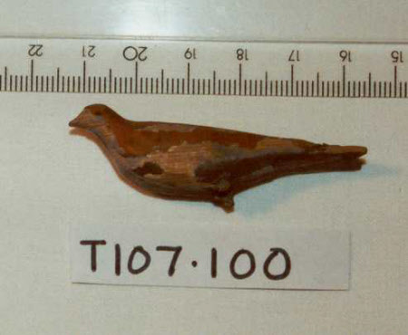 Noah's Ark bird
