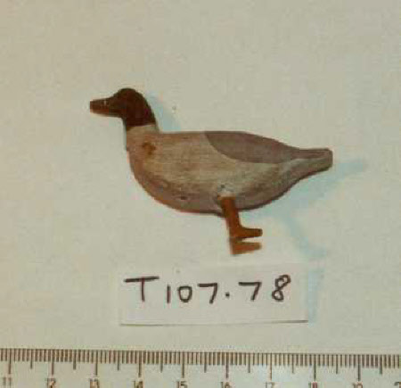 Noah's Ark bird