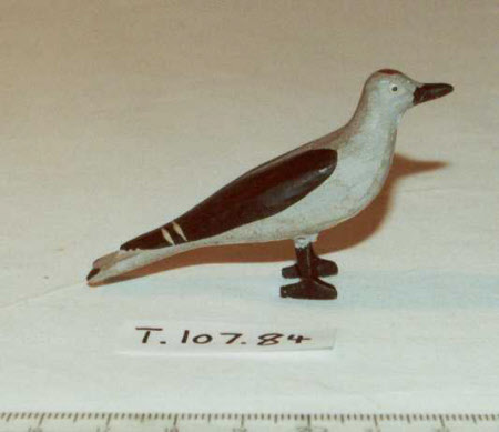 Noah's Ark bird