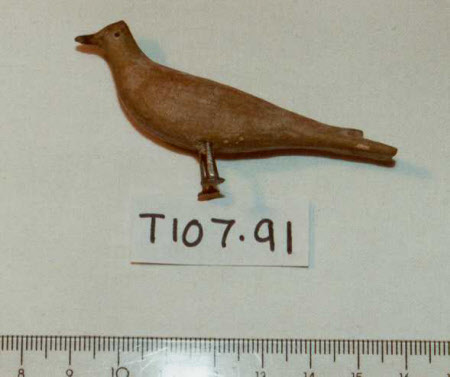 Noah's Ark bird