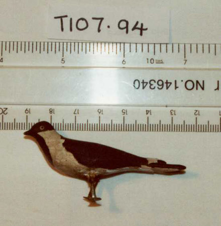 Noah's Ark bird