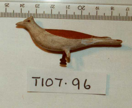 Noah's Ark bird