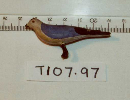Noah's Ark bird