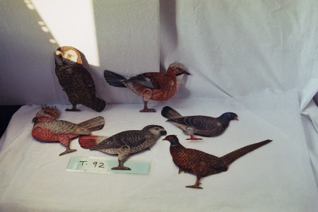 National Trust Museum of Childhood © National Trust
