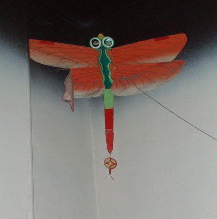 Kite