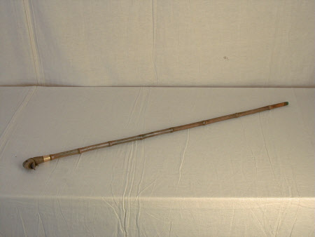 Cane