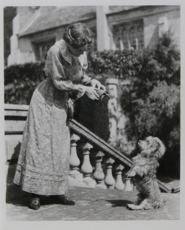 Annie Gerry, Mrs Wallace Rumney, Ladies Maid, Dyrham Park, Gloucestershire, showing a tortoise to a ...