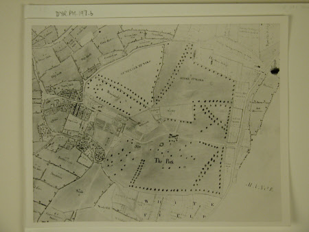 Estate Survey Map of Dyrham Park, Gloucestershire 