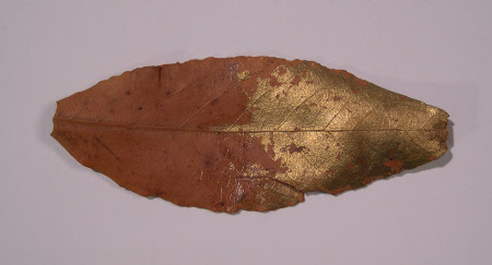 Laurel leaf