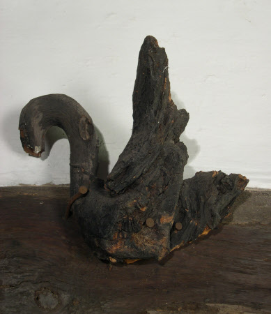 Root