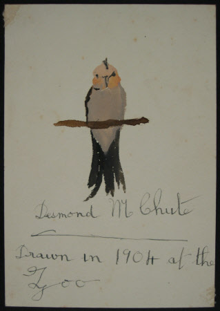 'Parrot'