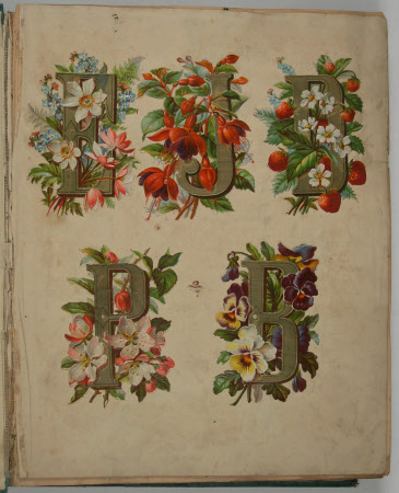 Scrap book