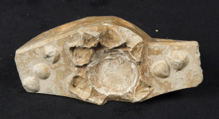 Plaster mould fragment