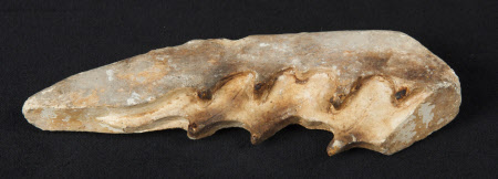 Plaster mould fragment