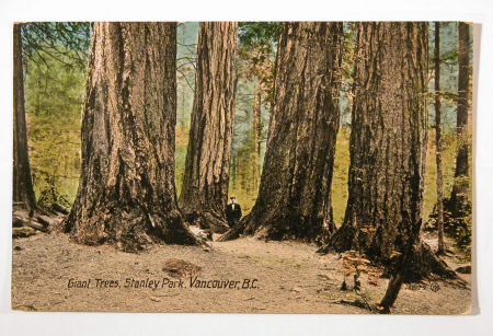 Postcard