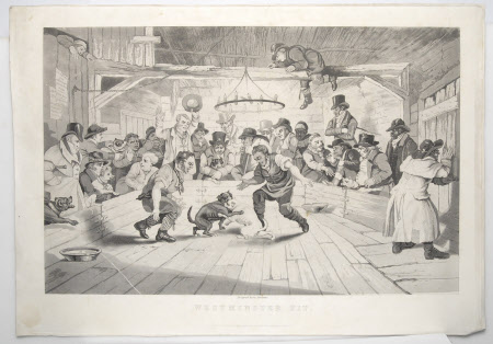 Westminster Pit