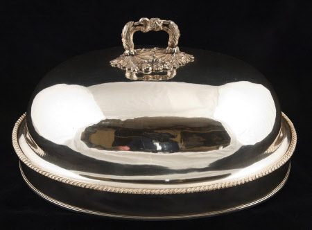 Dish cover
