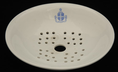 Sponge dish liner