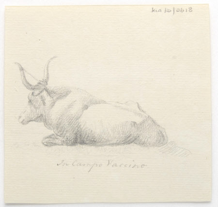 Pencil drawing