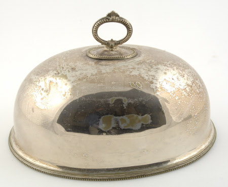 Dish cover