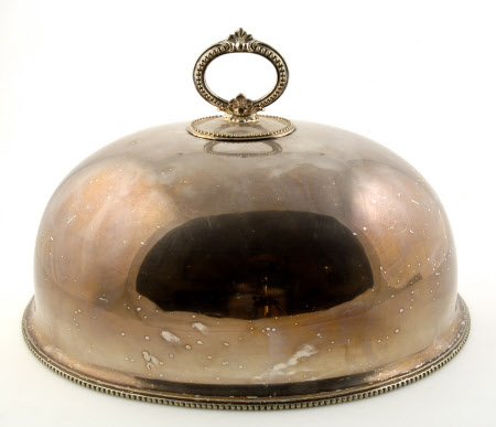 Dish cover