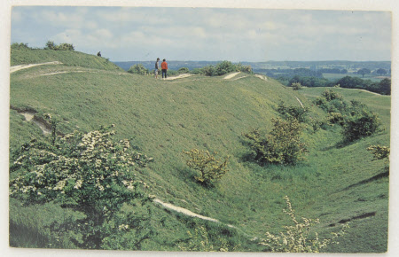 Badbury Rings, Dorchester, Dorset: c.1960,