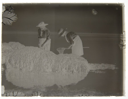 Viola Florence Geraldine Bankes, Mrs Norman Bruce Hall (b.1900) and her sister Daphne Maud Adelaide ...