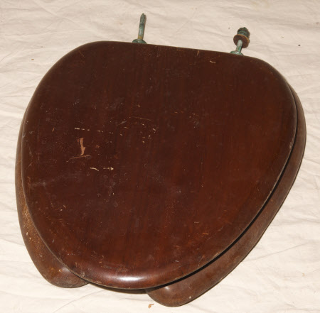 Lavatory seat