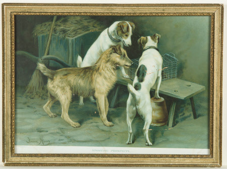 Sporting Prospects