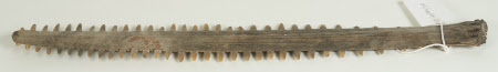 Bone