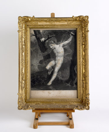 The Argory © National Trust / The Gap Studio