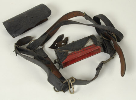Pony bridle