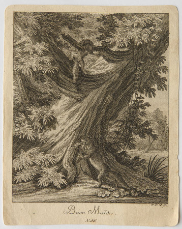 'Baum Marder' (Pine Martens)