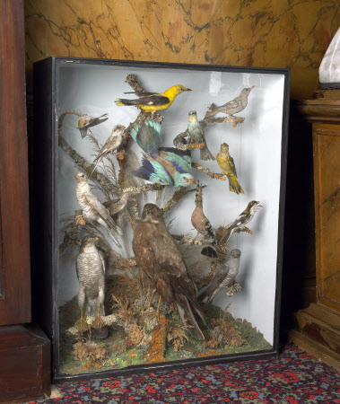 The Argory © National Trust / The Gap Studio