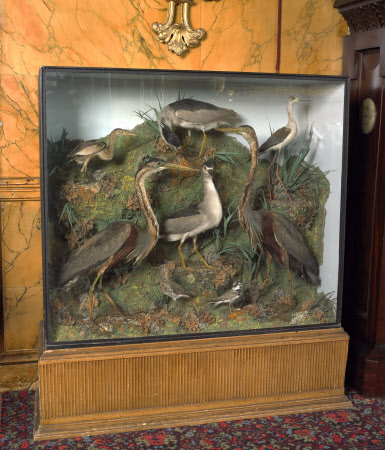 The Argory © National Trust / The Gap Studio